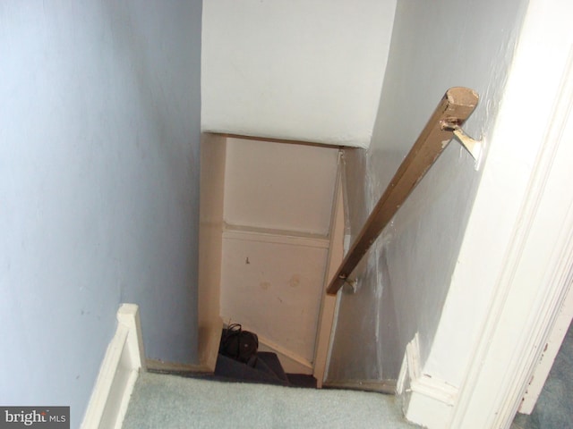 staircase featuring carpet flooring