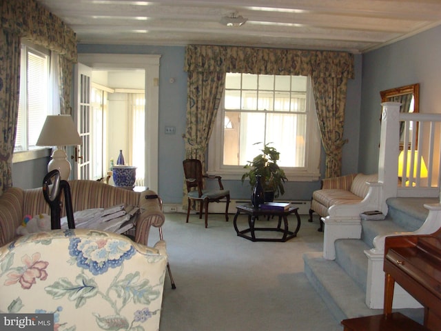 living area with crown molding, a wealth of natural light, and carpet floors