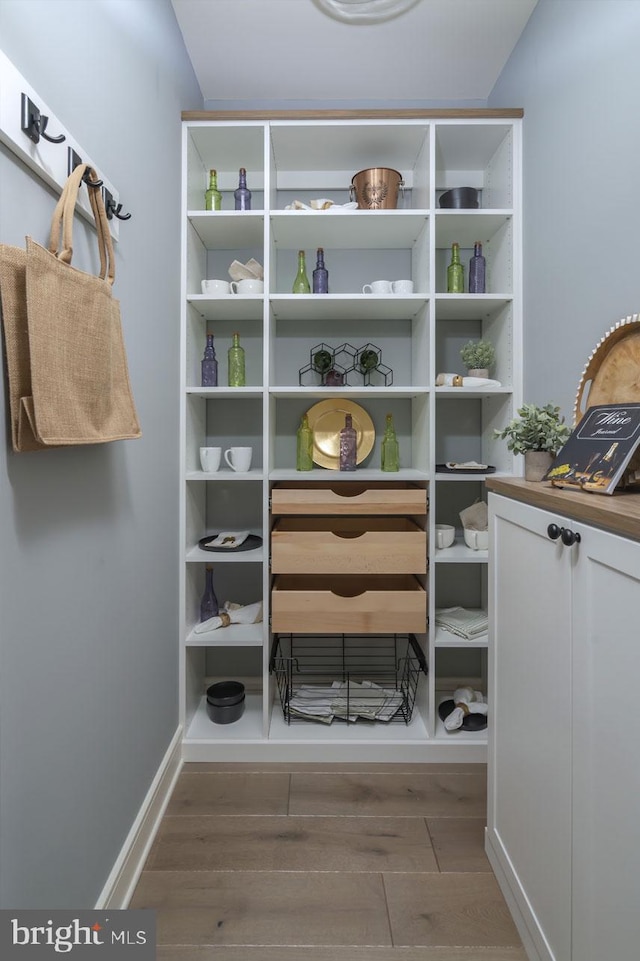 spacious closet featuring wood-type flooring