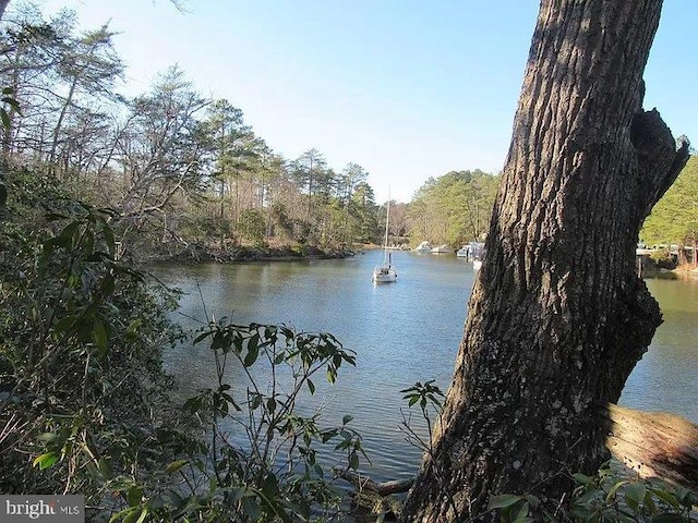 Listing photo 3 for LOT7 Cranes Creek Harbor Dr, Heathsville VA 22473