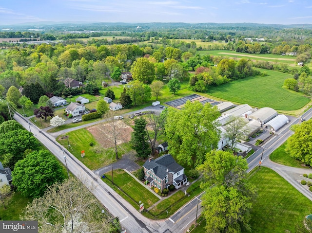 bird's eye view