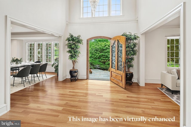 foyer featuring a high ceiling, hardwood / wood-style flooring, and a healthy amount of sunlight