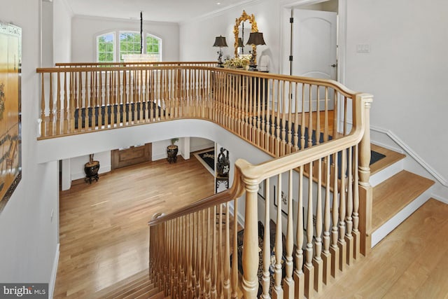 staircase with hardwood / wood-style floors and crown molding