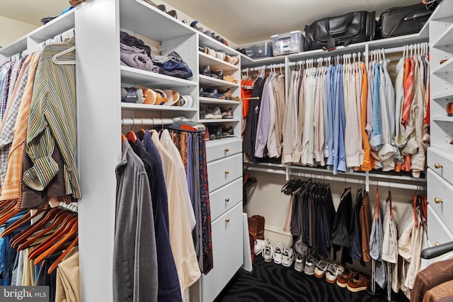 view of spacious closet