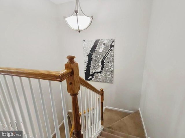 staircase featuring carpet floors