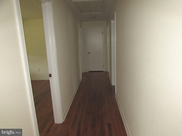 hall with dark hardwood / wood-style flooring