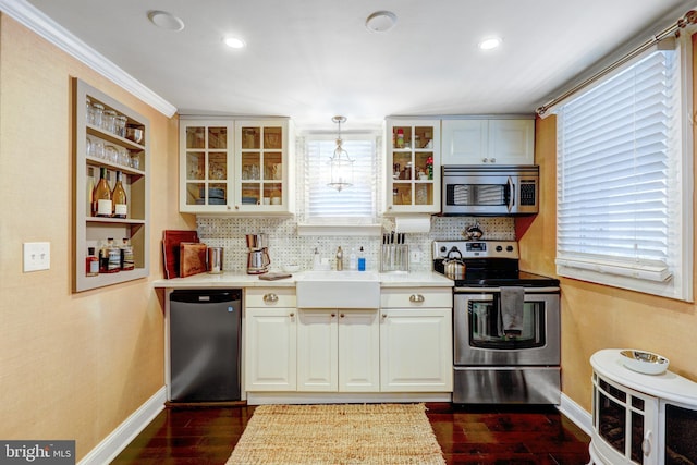 kitchen with dark hardwood / wood-style floors, a healthy amount of sunlight, stainless steel appliances, and decorative light fixtures