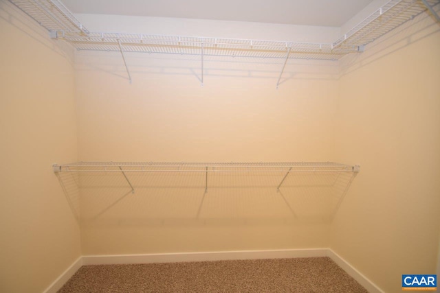 spacious closet with carpet flooring