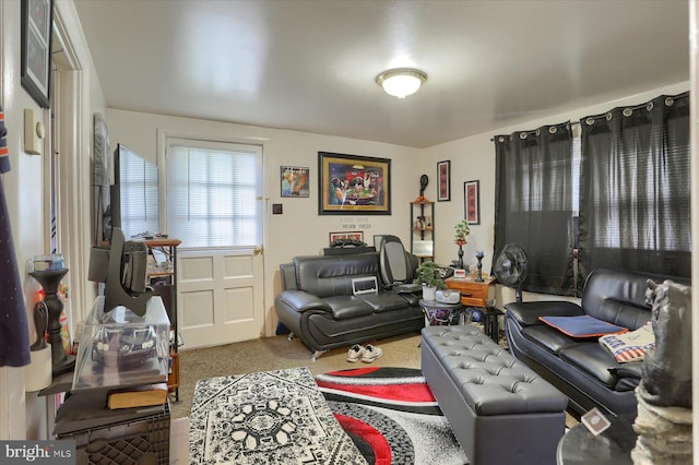 view of carpeted living room