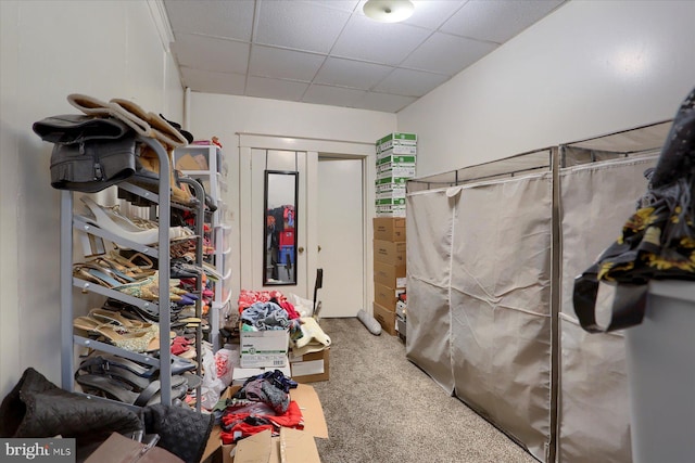 spacious closet with a paneled ceiling and carpet