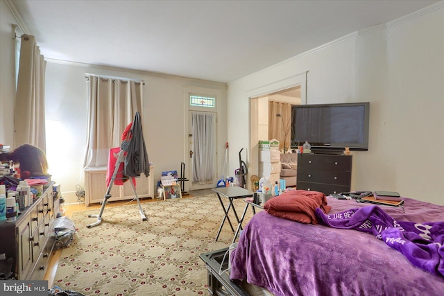 bedroom featuring ornamental molding