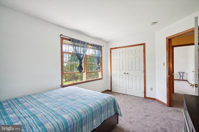 bedroom featuring carpet and a closet