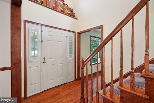 foyer entrance featuring a wealth of natural light and wood-type flooring