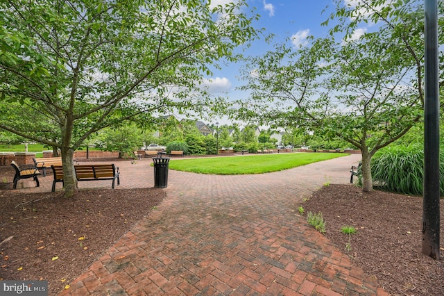 view of community with a yard