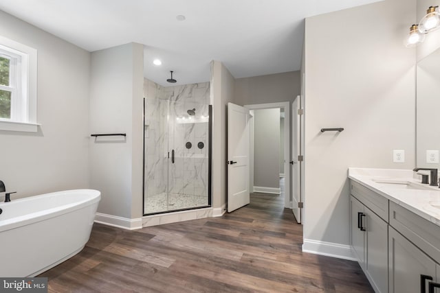 bathroom with vanity, plus walk in shower, and wood-type flooring