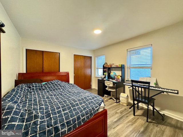 bedroom with hardwood / wood-style floors, multiple closets, and multiple windows