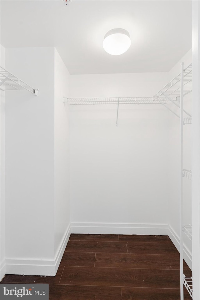 walk in closet featuring dark hardwood / wood-style floors