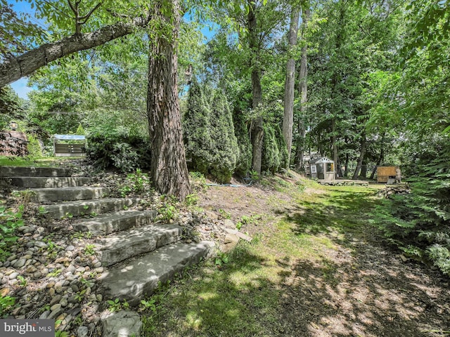 view of yard with a storage shed