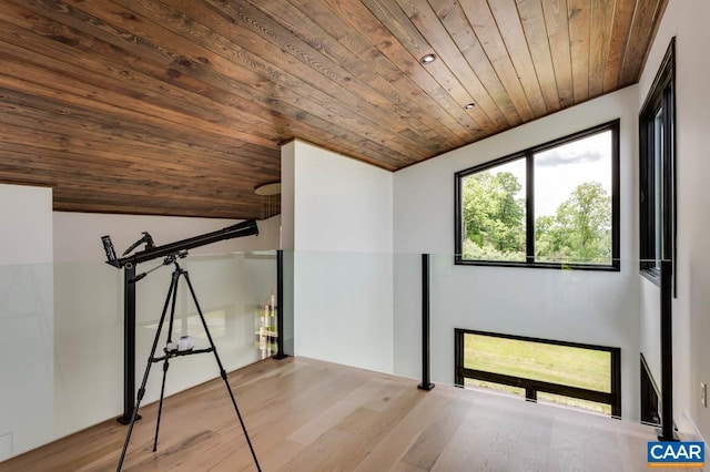 225 Cherry Ridge Ln, Lexington, VA 24450 - interior space with lofted ceiling, light wood-type flooring, and wood ceiling