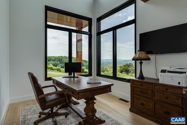 225 Cherry Ridge Ln, Lexington, VA 24450 - office space featuring light wood-type flooring and a wealth of natural light