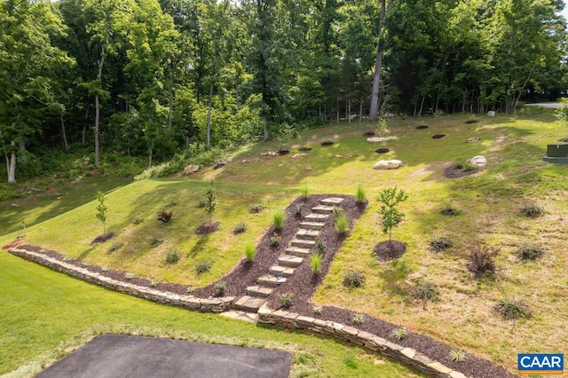225 Cherry Ridge Ln, Lexington, VA 24450 - aerial view