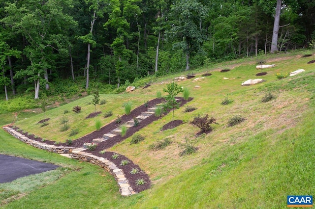 225 Cherry Ridge Ln, Lexington, VA 24450 - view of yard