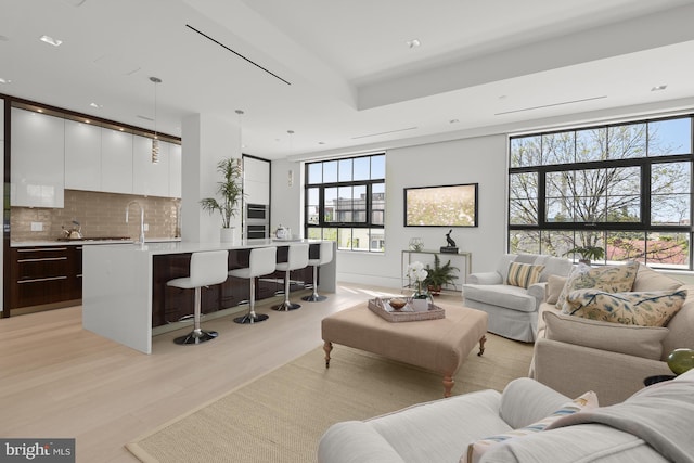 living room featuring light hardwood / wood-style floors and sink