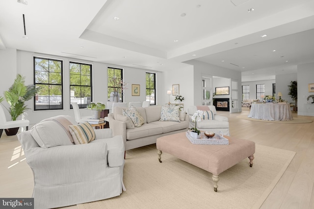 living room featuring light wood-type flooring and a wealth of natural light