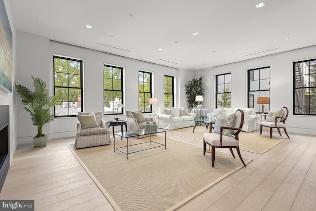 living room featuring light hardwood / wood-style floors