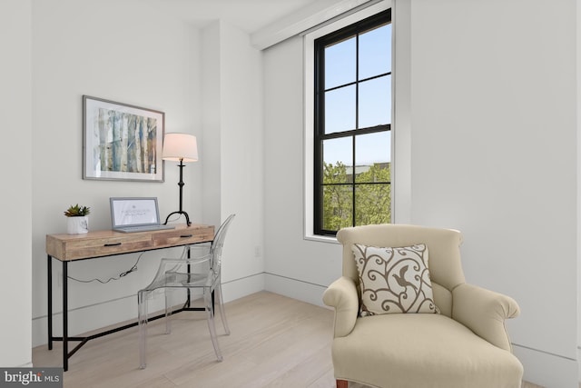 sitting room with a wealth of natural light and light hardwood / wood-style floors