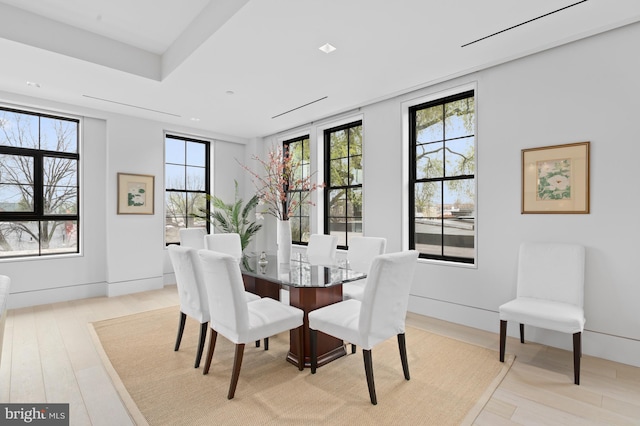 living room featuring a raised ceiling and light hardwood / wood-style floors