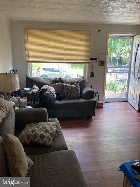 living room featuring hardwood / wood-style floors and a textured ceiling