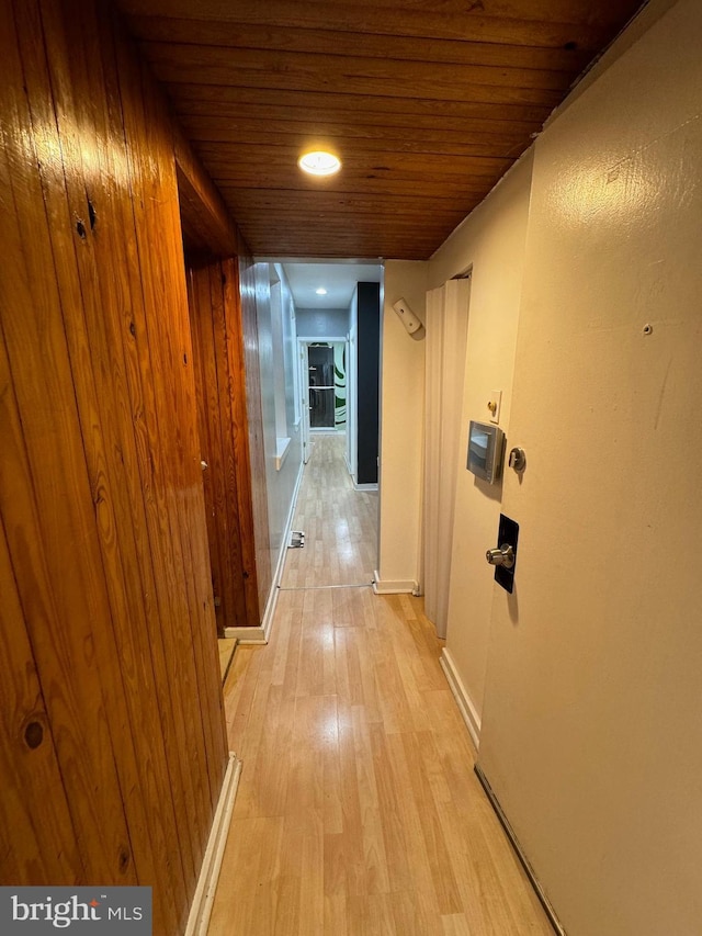 corridor featuring light hardwood / wood-style flooring, wood walls, and wood ceiling