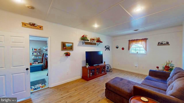 living room with light wood-type flooring