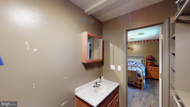 bathroom with hardwood / wood-style floors and vanity