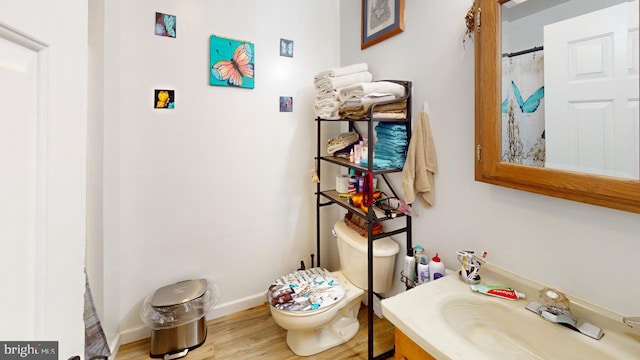 bathroom with hardwood / wood-style floors, vanity, and toilet