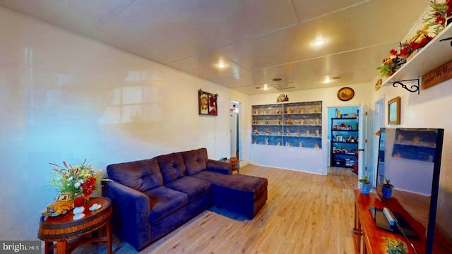 living room featuring hardwood / wood-style floors