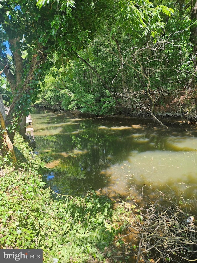 view of landscape featuring a water view