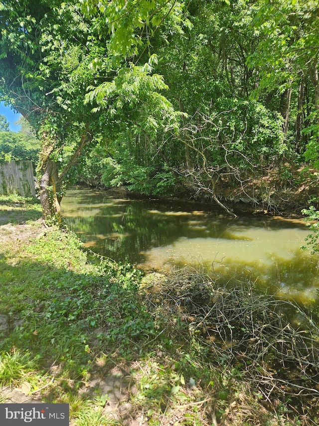 view of nature with a water view