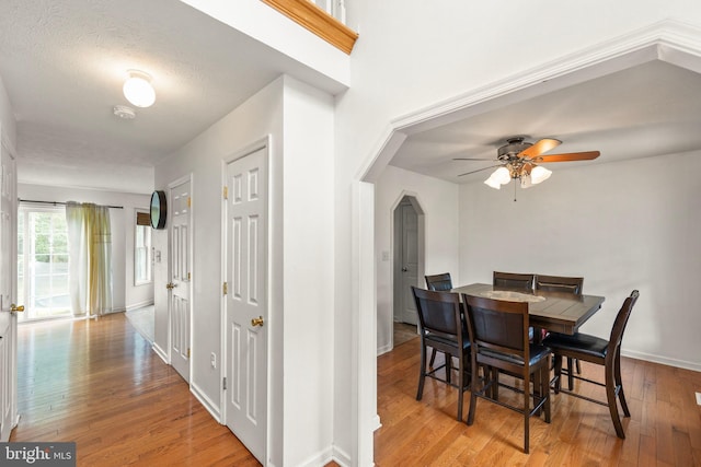 dining area with ceiling fan, light wood-type flooring, and a textured ceiling