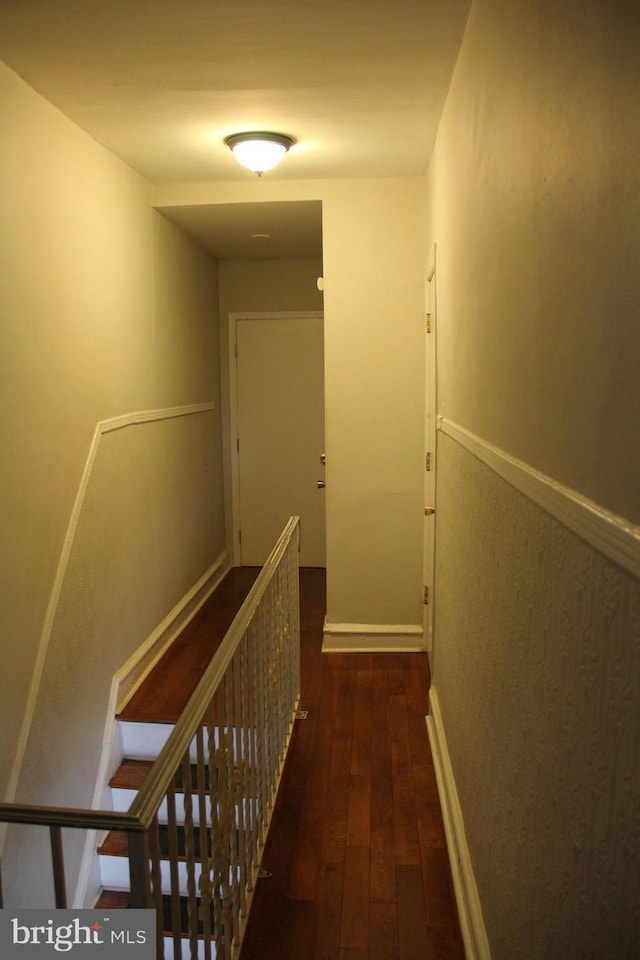 hallway featuring dark wood-type flooring