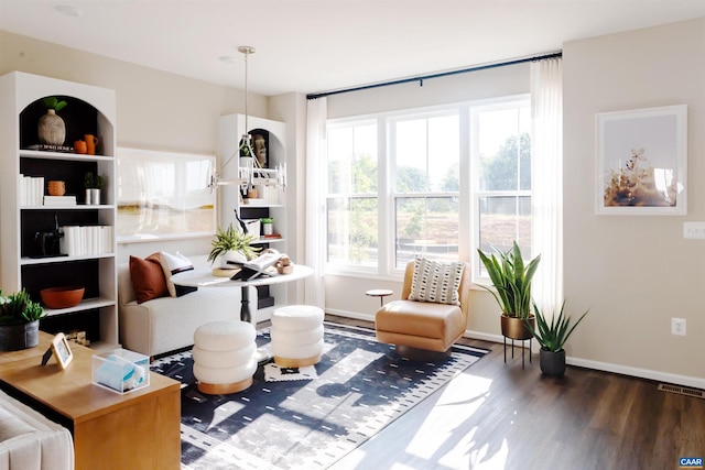 sitting room with wood-type flooring and a wealth of natural light