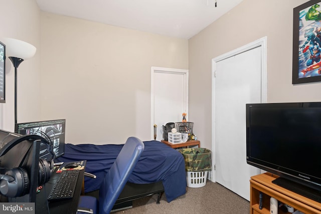 bedroom with carpet flooring