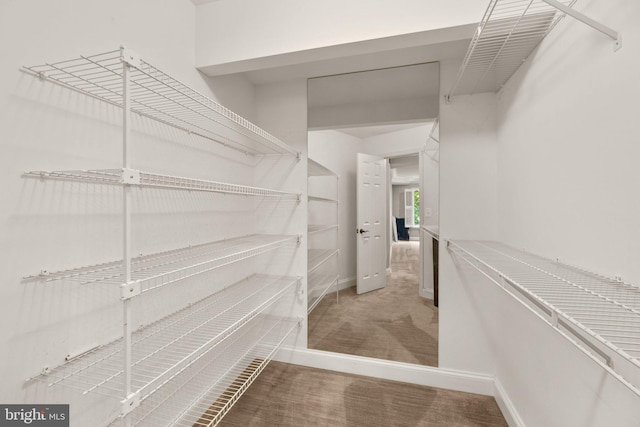 spacious closet featuring carpet