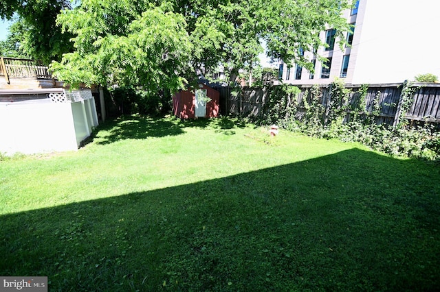 view of yard with a storage unit