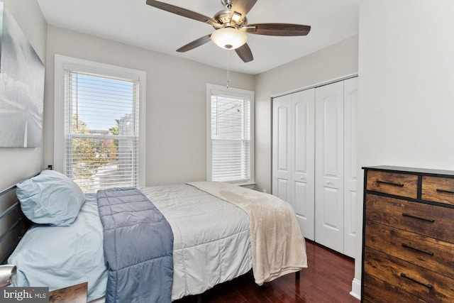 bedroom with multiple windows, ceiling fan, and dark wood-type flooring