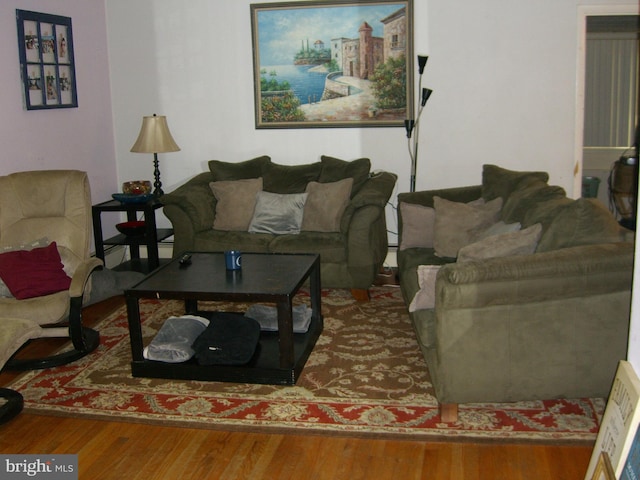 living room featuring hardwood / wood-style floors