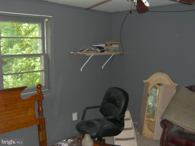 office space featuring carpet flooring and ceiling fan