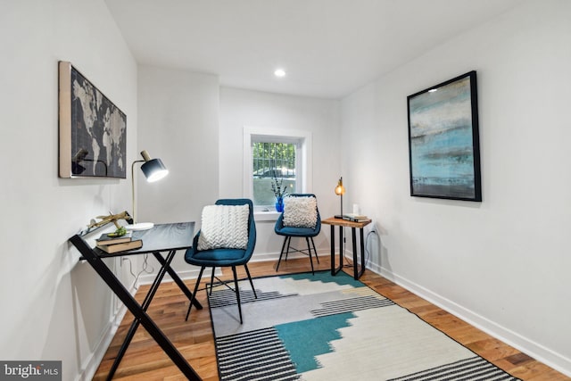 living area featuring wood-type flooring