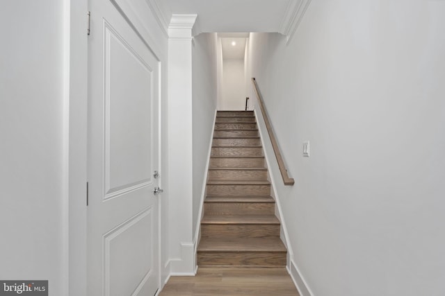 stairway featuring wood-type flooring and ornamental molding